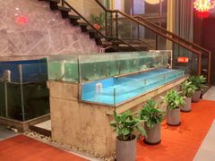 水产区-饭怕鱼(阳光100店)