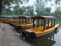 -东方巨龟苑景区