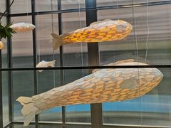 -红鼎豆捞·非遗鲍皇汤火锅(宝丰路店)