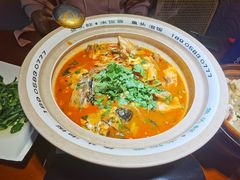 千岛湖有机胖头鱼-魏铭鱼头捞饭(晋阳路店)