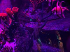 -沈阳海洋探索中心