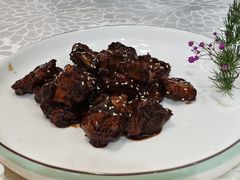 -丁老爷子苏香圆