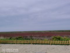 -红海滩国家风景廊道