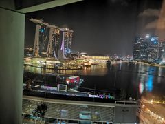 -新加坡文华东方酒店