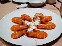 白灼鲜虾-宝园酒家(美林M·LIVE天地东座店)
