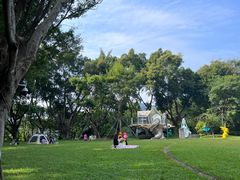 -银湖山郊野公园-相思林