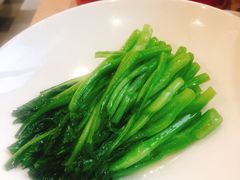 -食神鱼头佛跳墙(百子湾旗舰店)