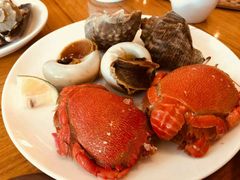 -济南喜来登酒店-盛宴自助西餐厅·综合自助
