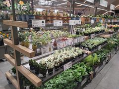 -鹿岛生活(熙地港店)