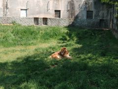 -西安秦岭野生动物园