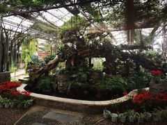 -石家庄市植物园
