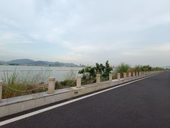 -芒洲湿地公园