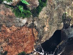 -秦岭终南山世界地质公园翠华山景区