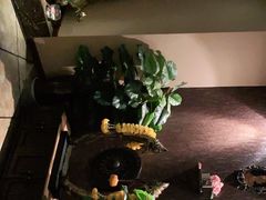 -SABAI THAI SPA泰式按摩体验馆(北城天街店)