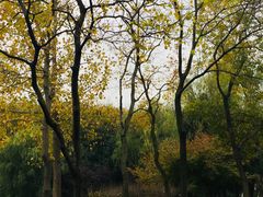 -南山风景名胜区
