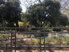 -上海市保健医疗中心