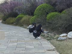 -燕郊植物园
