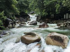 -大鄣山卧龙谷景区