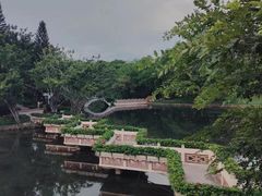 -深圳龙潭公园