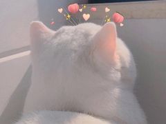 -常乐·对症推拿(来福士第43分店)