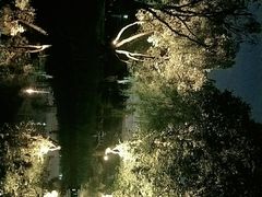 -静安公园(静安寺街道)