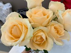 -Fridi Patisserie Cafe