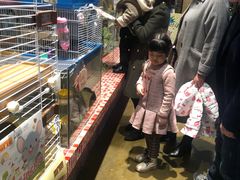 -天虹购物中心(石路店)