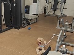 -YCHL Studios健身工作室(市二宫店)