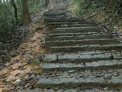 android_upload_pic-西湖风景区十里琅珰-五云山