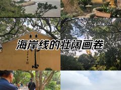 -普陀山风景名胜区-法雨禅寺