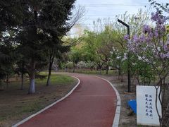 -黛秀湖公园