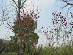 -重庆园博园