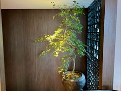 -晓长安·新陕菜(曲江店)
