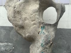 -芙蓉泉·烤鸡爪(芙蓉街店)