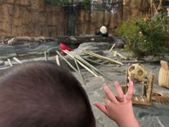 -泉州海丝野生动物世界