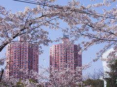 -永乐路-路侧停车场