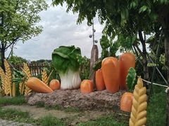 -光明小镇欢乐田园