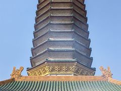 -八大处公园
