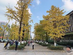 -百林公园-两江幸福广场