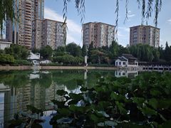 -团结湖公园