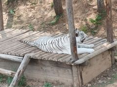 -石家庄极地海洋世界