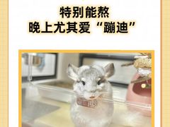 -博特宠物医院24h犬猫全科.骨科·异宠