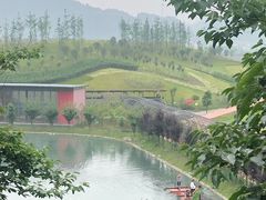 -白鹭湾湿地公园