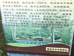 -灵光寺