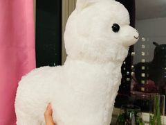 -LLJ夹机占(清河万象汇店)