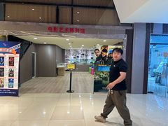 -华美国际影城(旧宫永辉店)