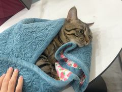 -宠颐生宠物医院·综合诊疗(先锋分院)