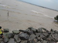 -宝安西湾红树林湿地公园