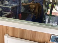 -瑞鹏宠物医院·内科·中兽医·骨科(苗圃店)