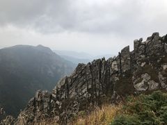 -芦芽山旅游度假区